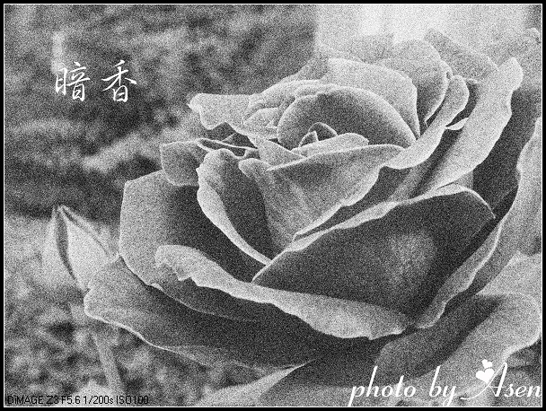 暗香