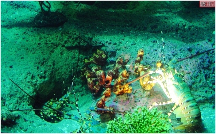 海底世界
