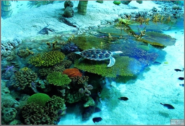 海底世界