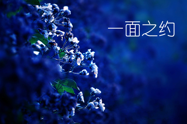 一面之约