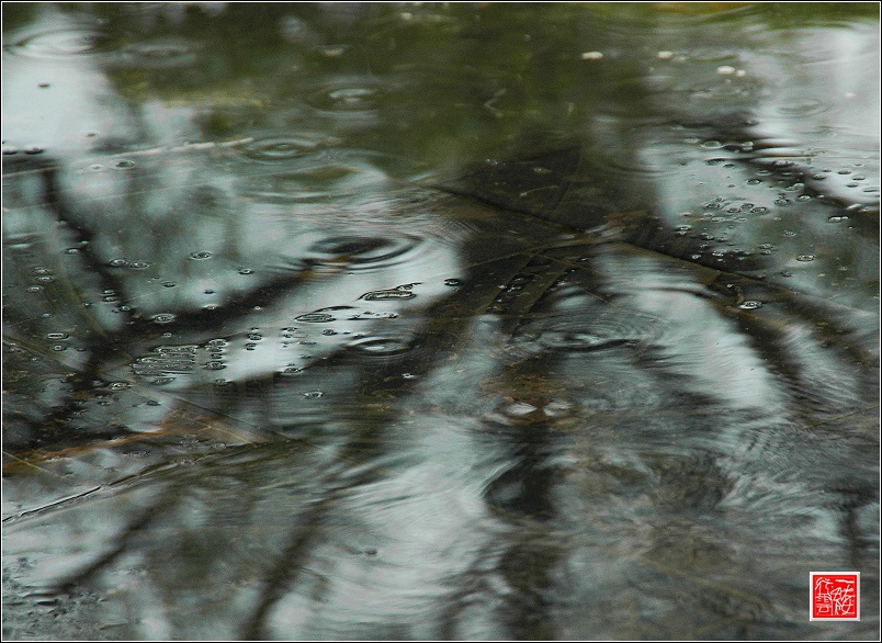 今天的雨~~~