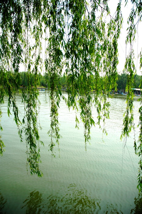 [原创]中原绿色庄园“五·一”七天乐之风景篇