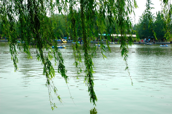 [原创]中原绿色庄园“五·一”七天乐之风景篇
