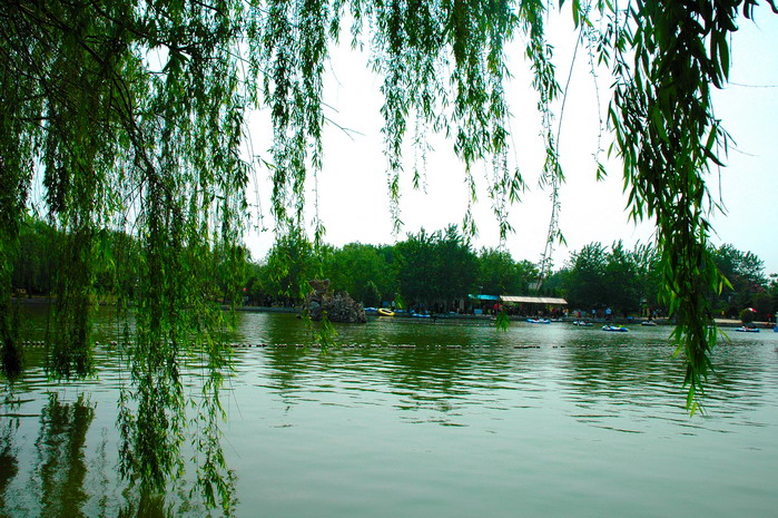 [原创]中原绿色庄园“五·一”七天乐之风景篇