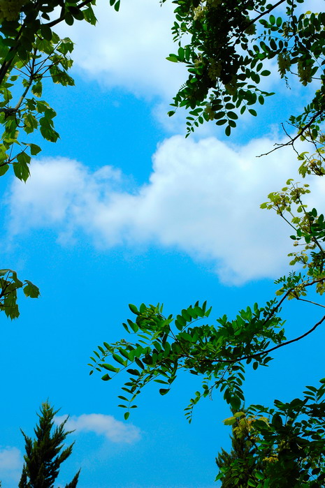 [原创]中原绿色庄园“五·一”七天乐之风景篇