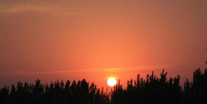 夕阳美