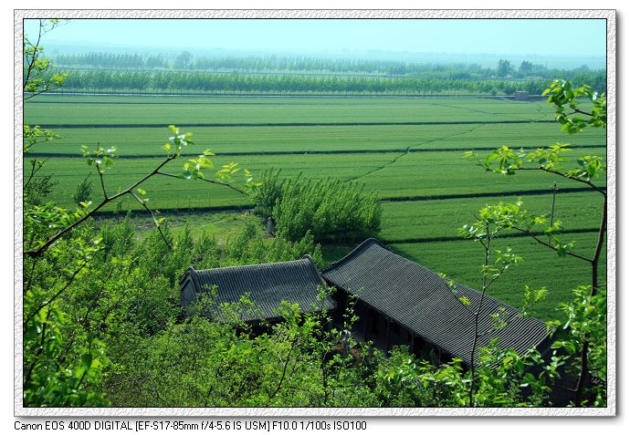 5月4日河北磁县拍摄麦田
