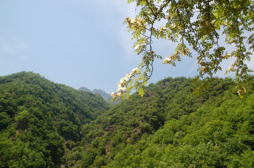 济源风光