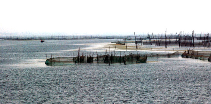 东平湖掠影