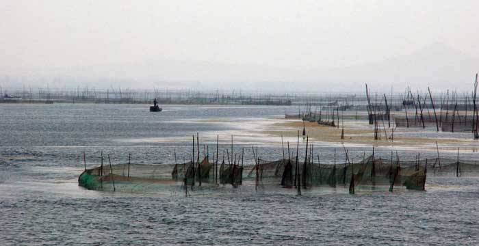 东平湖掠影