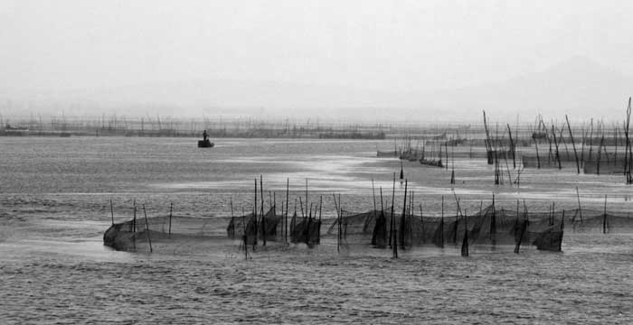 东平湖掠影
