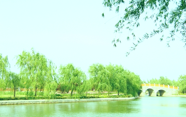 我眼中的濮上园