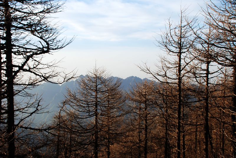 [原创]秦岭主峰—太白山之绚丽景色