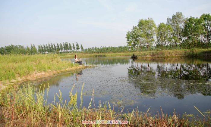 岸边风景