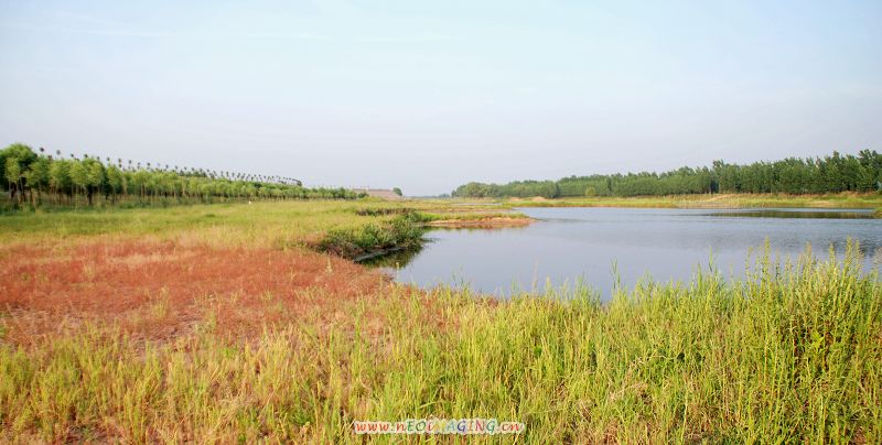 岸边风景