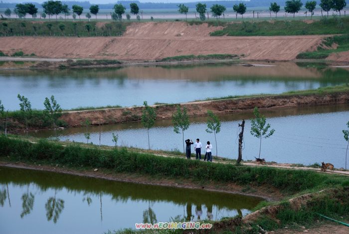 岸边风景