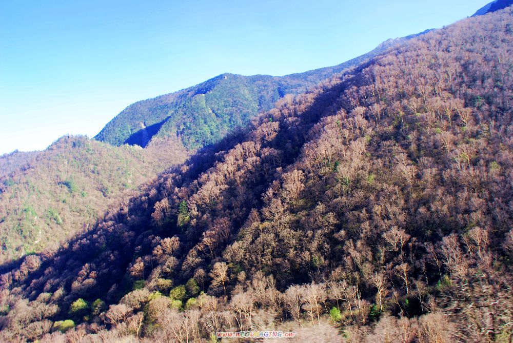[原创]秦岭主峰—太白山之绚丽景色