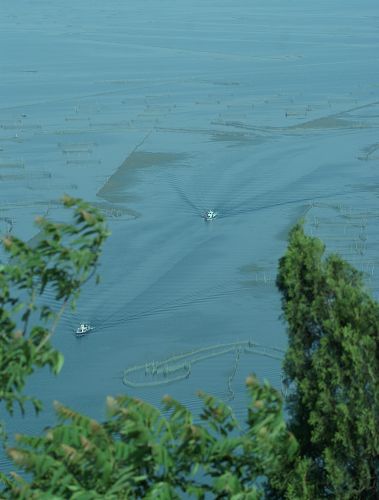 东平湖风光