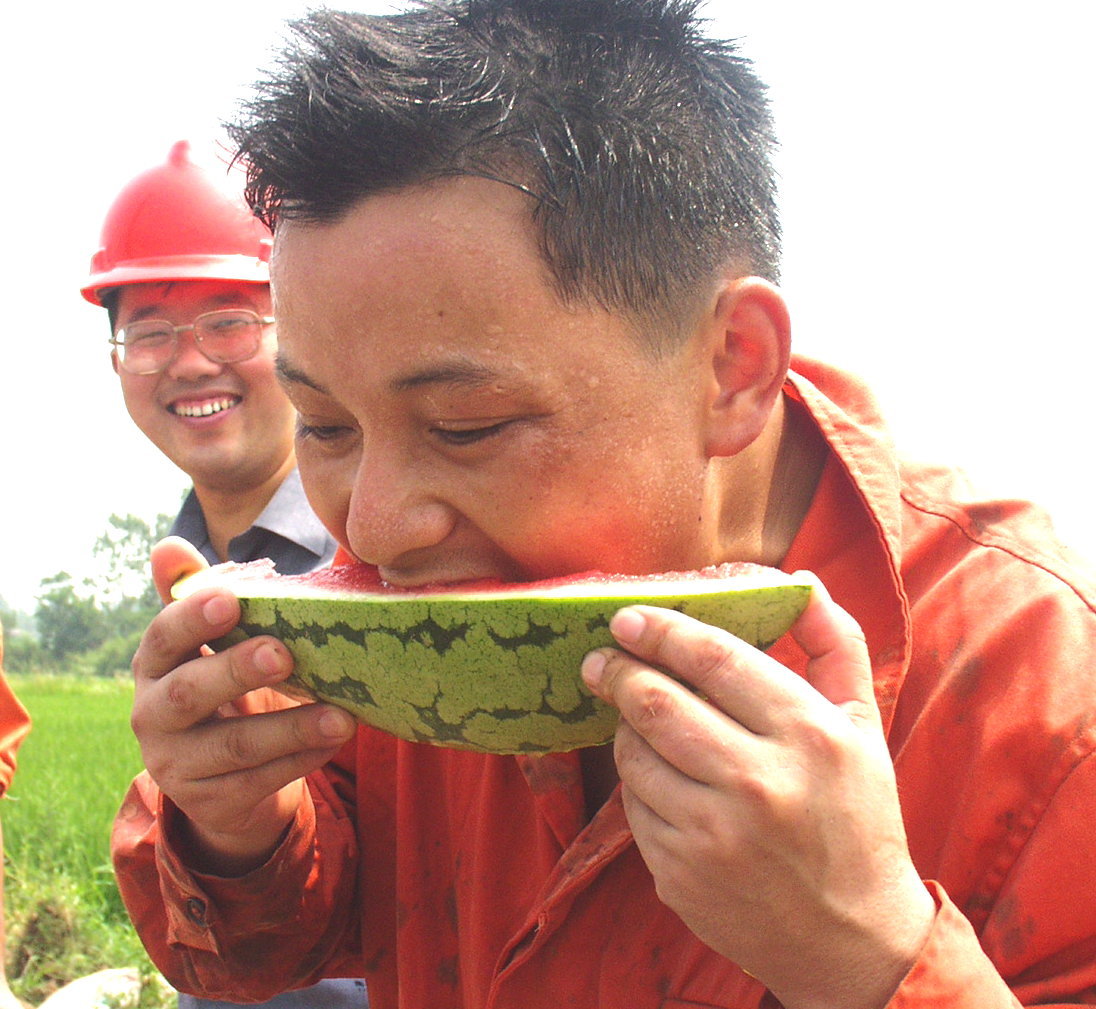 快乐的作业工(一组)