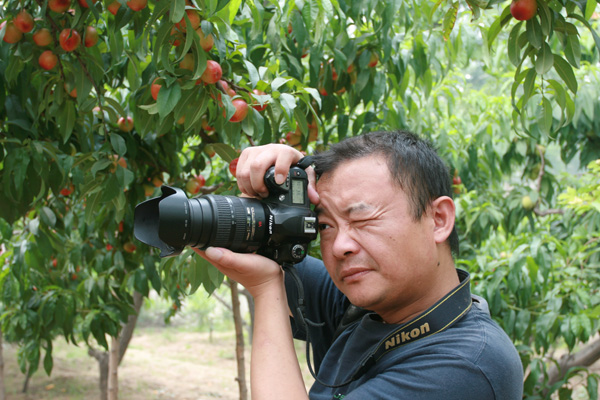 油田摄影人大闹油桃园