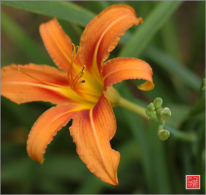 标头拍花~~~