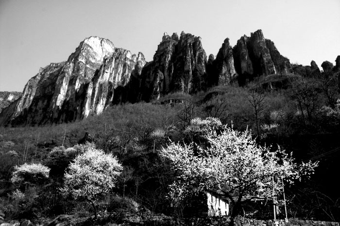 [原创]发一张黑白风景片