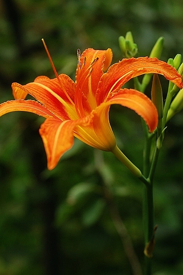 标头拍花~~~