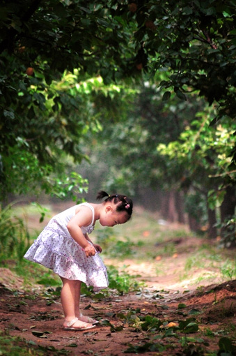 妞妞