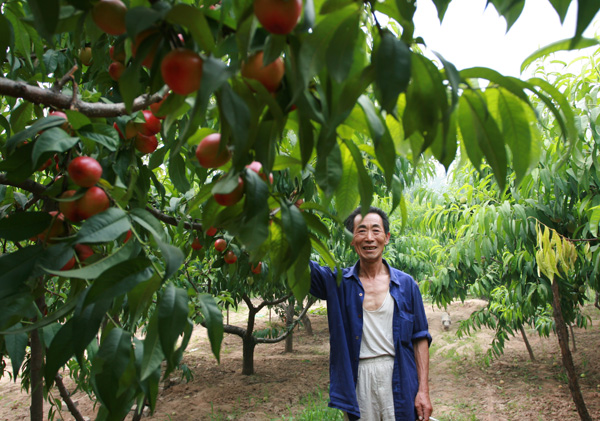 油田摄影人大闹油桃园