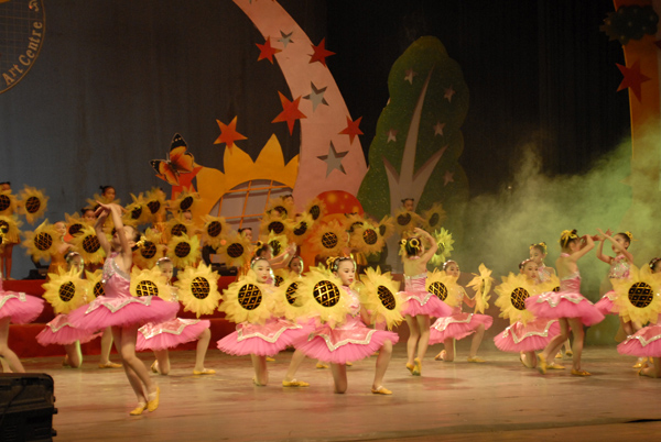 [原创]花卉
