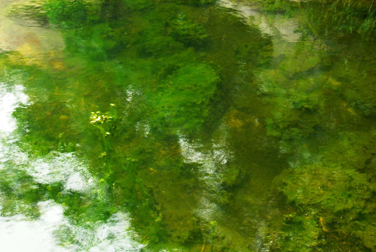[原创]水韵