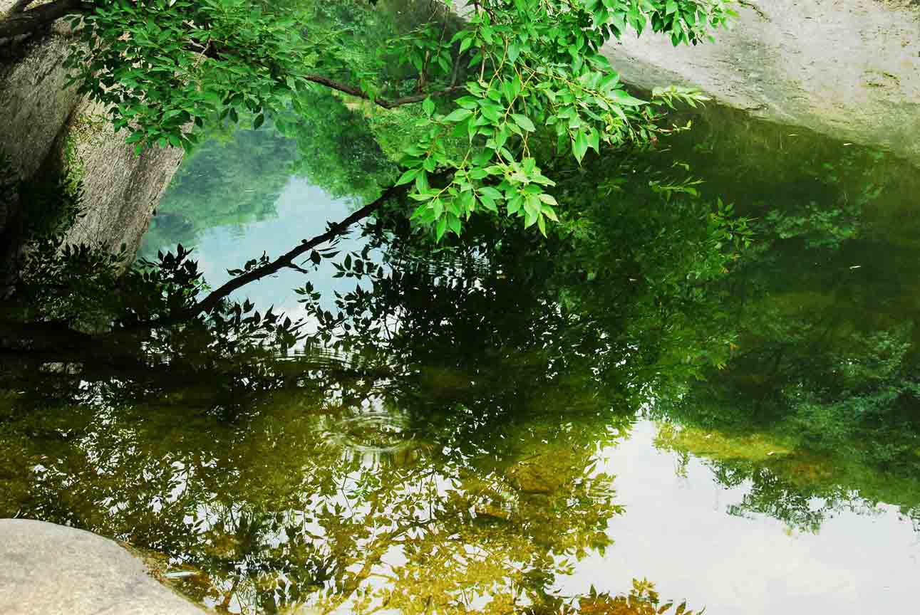 [原创]水韵