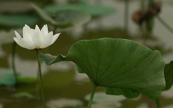 07新荷