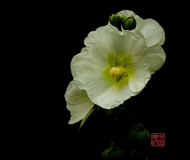 07新荷