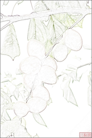 俏也不峥春