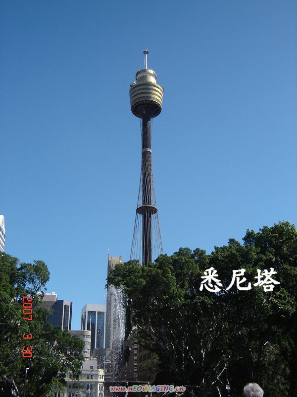 悉尼之行