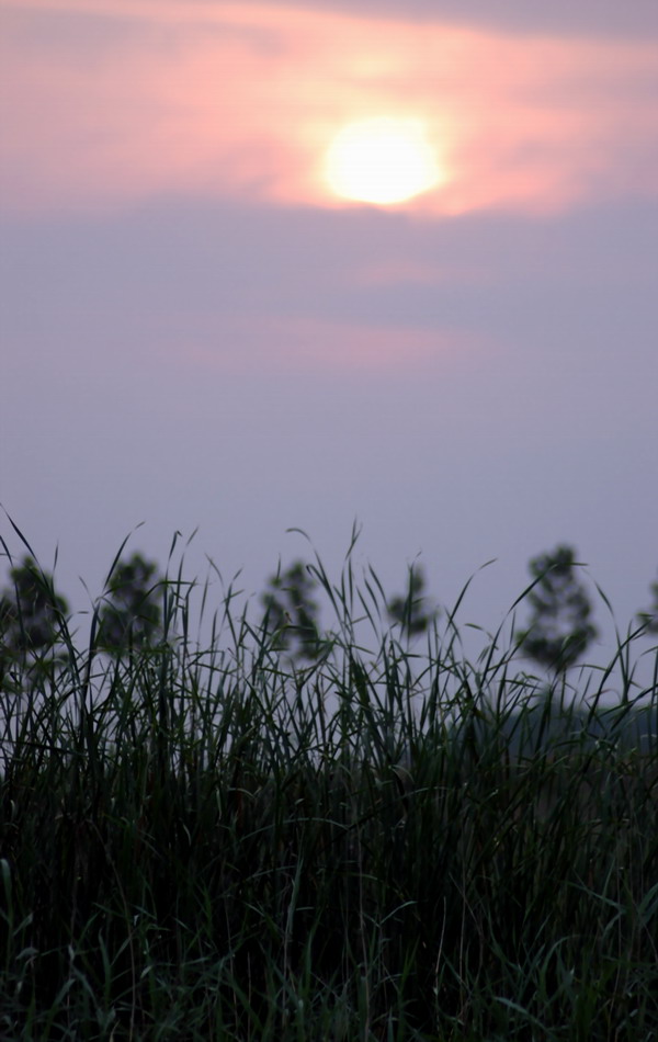 一组夕阳（初次用但反）