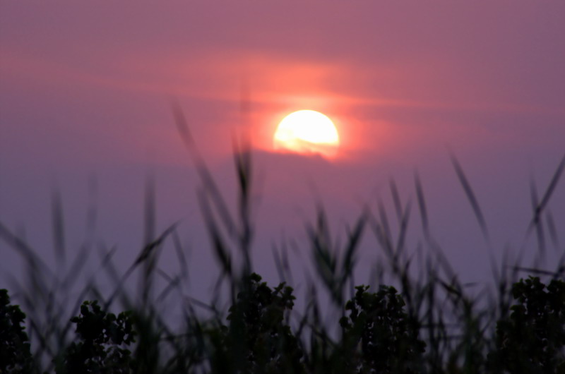 一组夕阳（初次用但反）