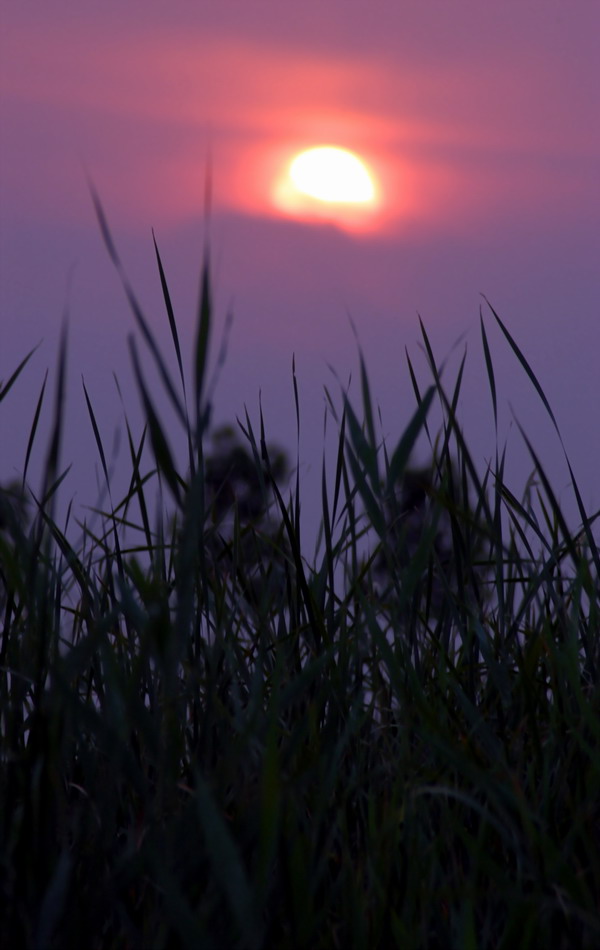一组夕阳（初次用但反）