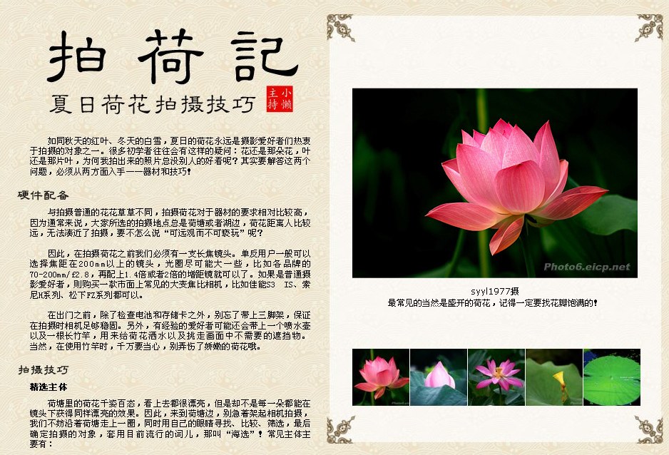 拍荷技巧
