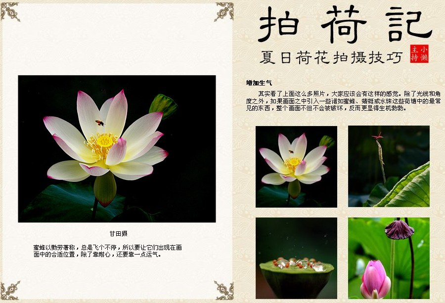 拍荷技巧
