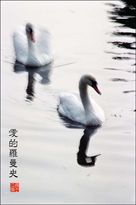 爱的罗曼史