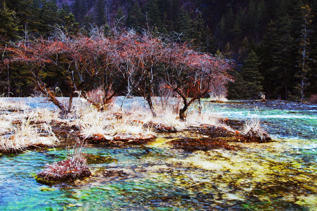 [原创]永远的九寨精灵