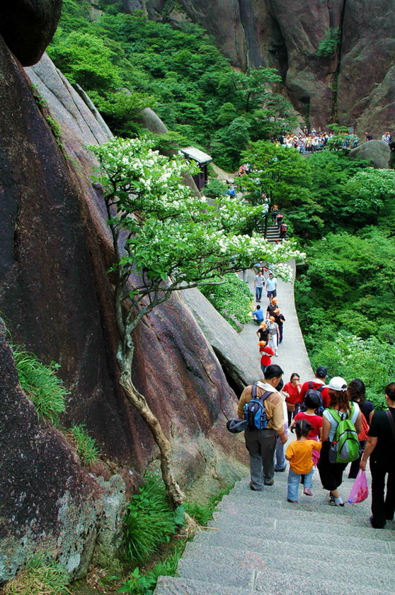行色黄山