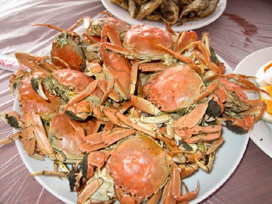 7.7－8“游微山湖风光，牵手荷花仙子”摄影采风活动（征求意见）