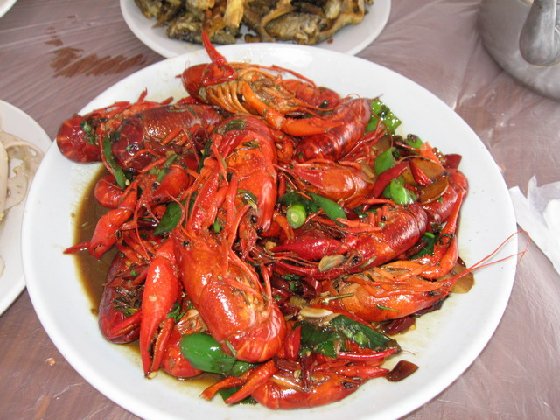 7.7－8“游微山湖风光，牵手荷花仙子”摄影采风活动（征求意见）