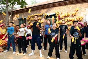 [转帖]濮阳东北庄--中国杂技南故里