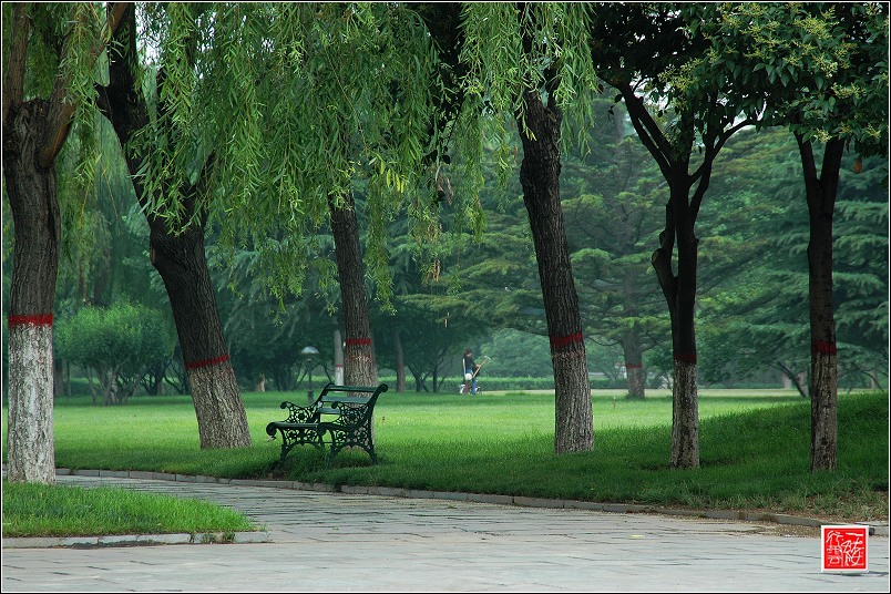濮阳小景~~~