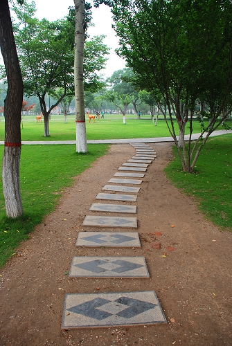 路