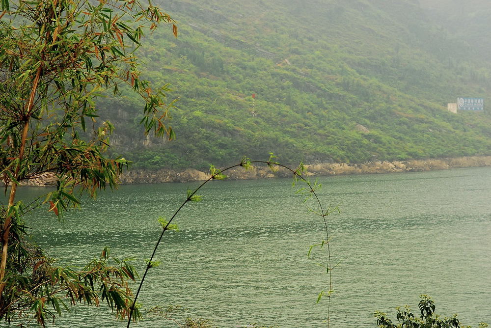 江边小景